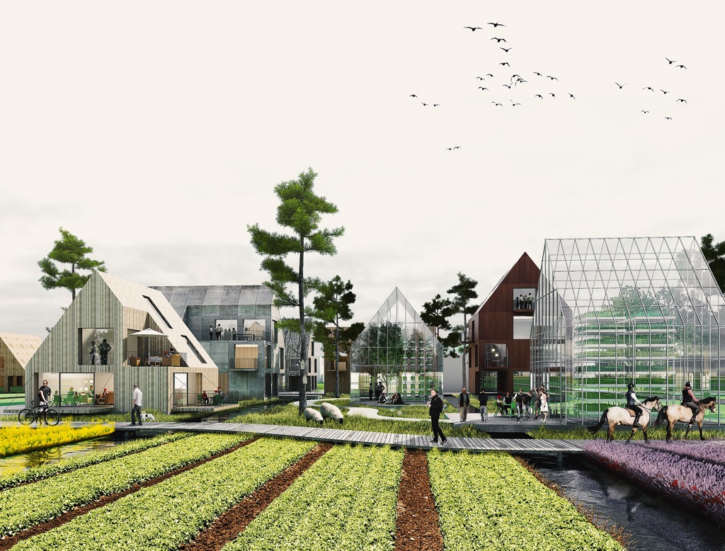 An illustration of grazing sheep, horse riding and food growing in allotments and greenhouses.