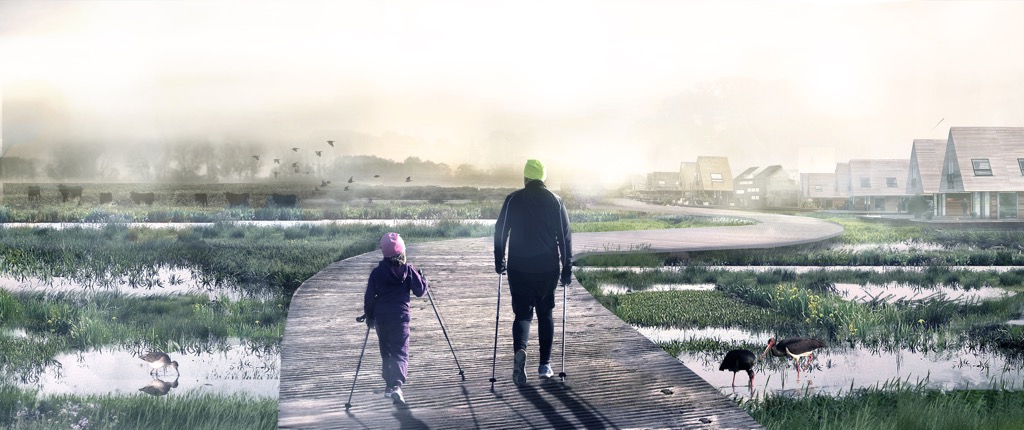 An illustration of an adult and child nordic walking along a manmade pathway through the marshland, surrounded by water birds. The path leads to housing.